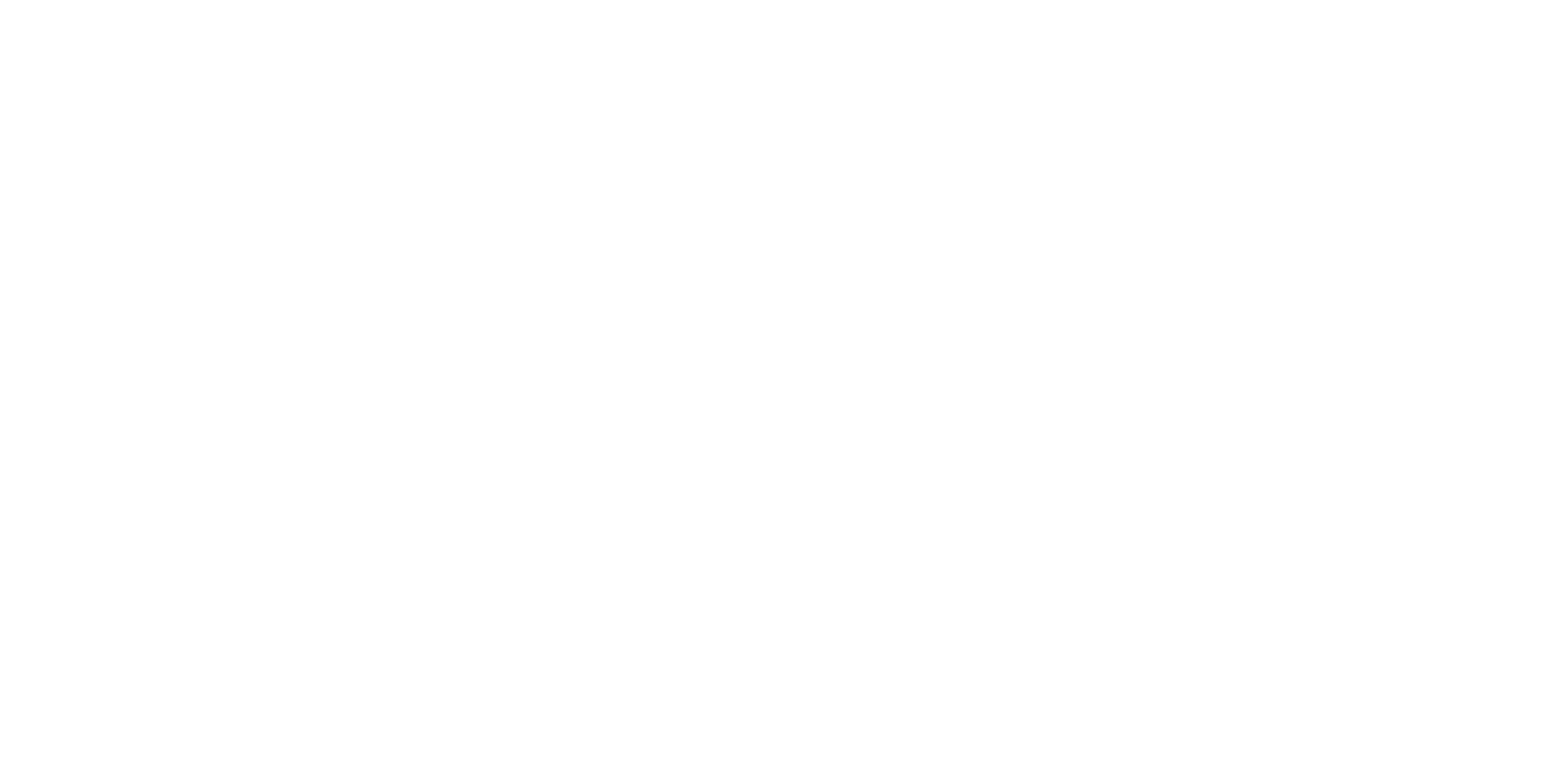 Proindus logo_White